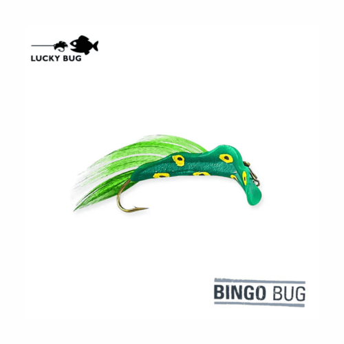 Lucky Bug Bingo Bug - #6 Green Frog