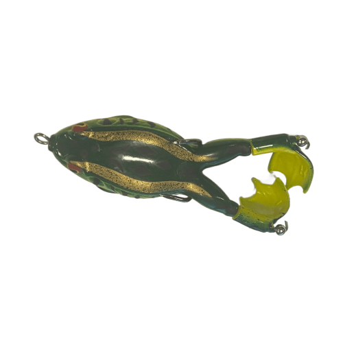 Frog- Bull Frog